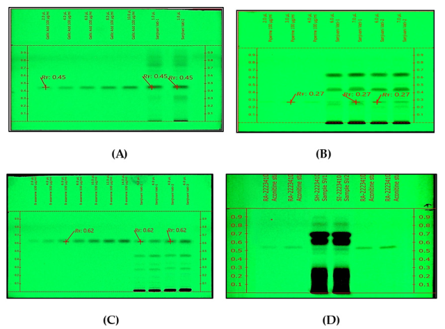 Developed HPTLC plates for all marker compounds. A. Gallic acid, B. Piperine, C. β-asarone, D. Aconitine).