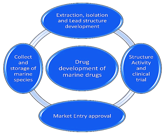 Fount development of marine drugs