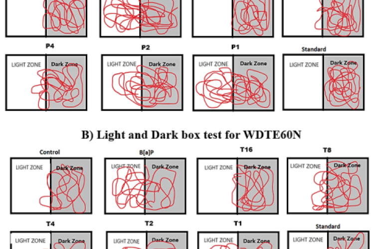 Light and Dark box test for AshwaSR and WDTE60N. AshwaSR, Ashwagandha root extract sustained-release granules; WDTE60N, Water-dispersible turmeric extract containing 60% natural curcuminoids. P1, B[a]P-treated adult zebrafish exposed to 1 μg/mL of AshwaSR 60N for 7 days; P2, B[a]P-treated adult zebrafish exposed to 2 μg/mL of AshwaSR for 7 days; P4, B[a]P-treated adult zebrafish exposed to 4 μg/mL of AshwaSR for 7 days; P8, B[a]P-treated adult zebrafish exposed to 8 μg/mL of AshwaSR for 7 days; P16, B[a]P-t
