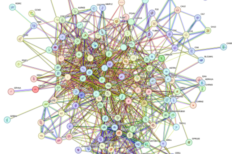 PPI network obtained from STRING database