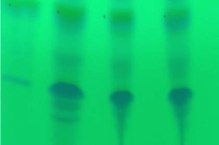 TLC of raw drug and all samples at 254 nm.