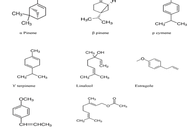 Chemical structure of some major compound of coriander essential oil.