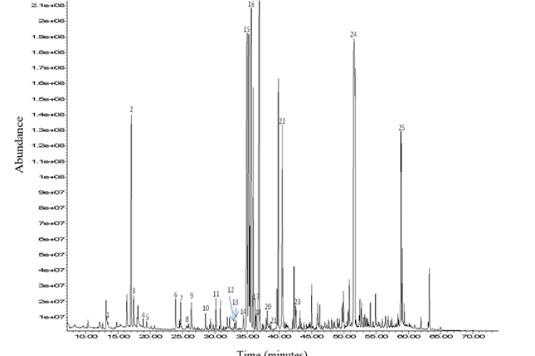 Typical GC-MS chromatogram (TIC) of Launaea nudicaulis (L.) Hook. f. sample.