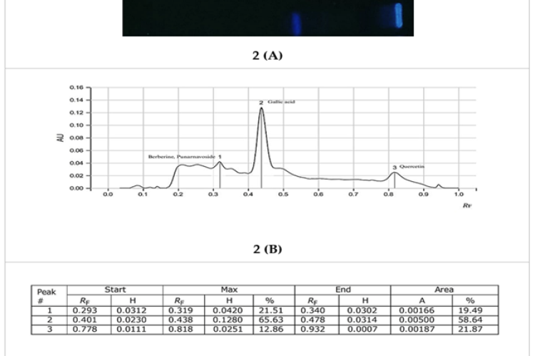 HPTLC Chromatogram of Punarnavashtak Ghanavati at UV 366 nm (A=Fingerprint, B= Peak height, C= Rf value and area percentage).