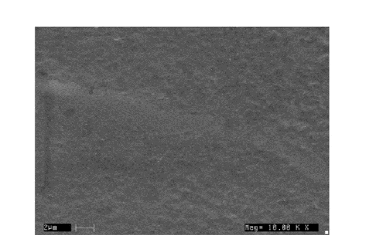 SEM image of CMC-Pectin film.