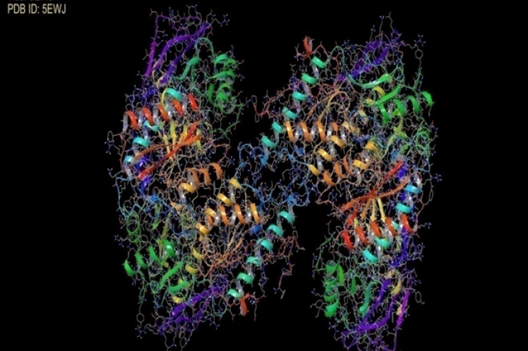 5EWJ receptor structure.