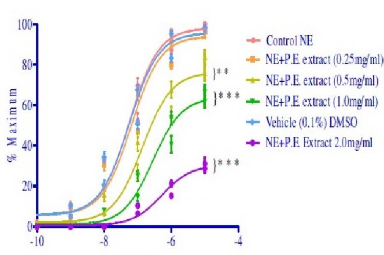 Contractile responses to norephenephrine (NE) of aortic rings in the presence of petroleum ether extract (P.E. Extract) 0.25, 0.5 and 1.0 mg/mL (n=8) **p<0.001, *** p<0.001