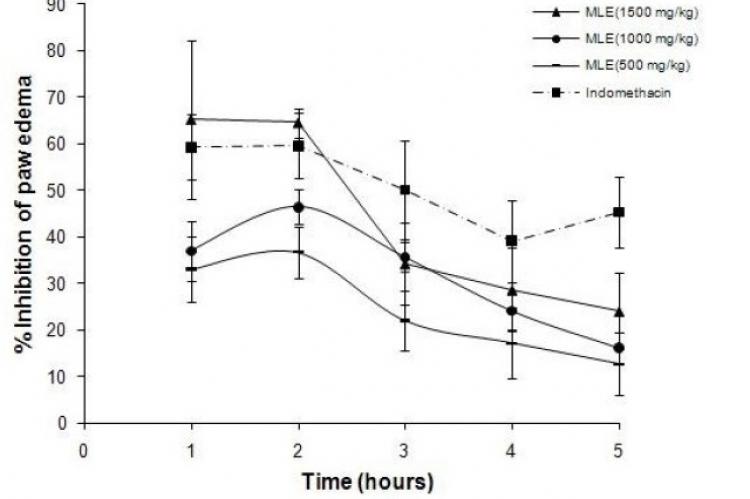 Inhibition of carrageenan-induced rat paw edema following oral treatment with MLE of Ixora coccinea. MLE was administered orally at 500, 1000 and 1500 mg/kg. Indomethacin (5 mg/kg) was used as the reference drug. One ml each of gum acacia (1%) and distilled water served as controls for MLE and indomethacin respectively. Paw volumes were measured using a plethysmometer and percentage inhibition of edema was calculated. Values represent mean ± SEM. Significant inhibition of edema (P < 0.05) upto 5th h compare