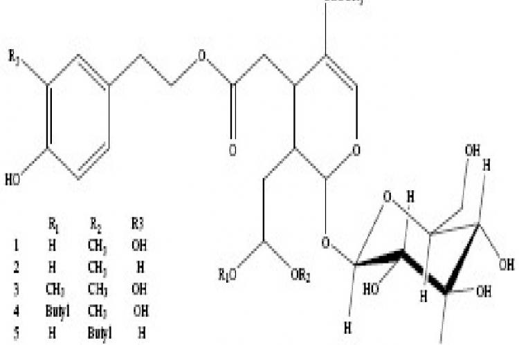 Compound 2, was obtained as a white amorphous powder.