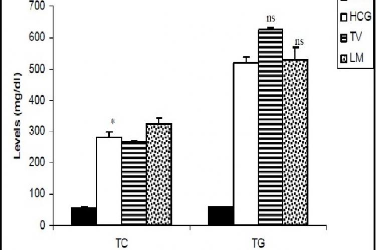 Effect of Thymus vulgaris and Lavandula multifida on rat plasma total cholesterol and triglycerides TC: total cholesterol; TG: triglycerides; HCG: hyperlipidelic control group; NCG: normolipidemic control group; TV: thyme treated group; LM: lavender treated group.