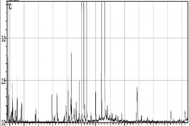 GC-MS chromatogram of Essential Oil Composition of the Dracocephalum moldavica L