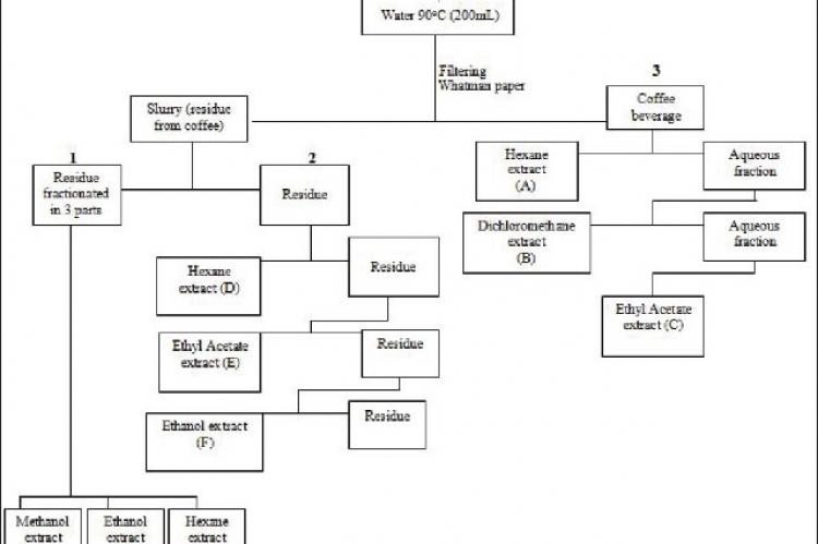 Schematic coffee residue and beverage extraction processes with different solvents. In figure: 1 overnight maceration; 2 soxleth; 3 liquid-liquid partition.