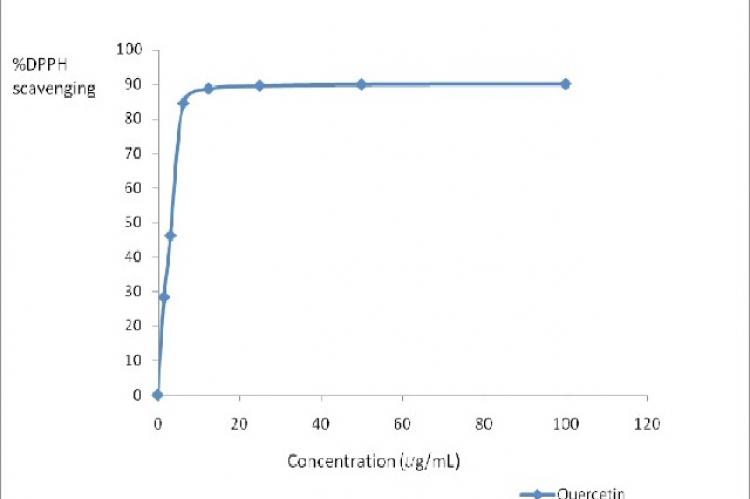 Percentage of inhibition H-donor activity of Quercetin as measured using DPPH assay with different concentration