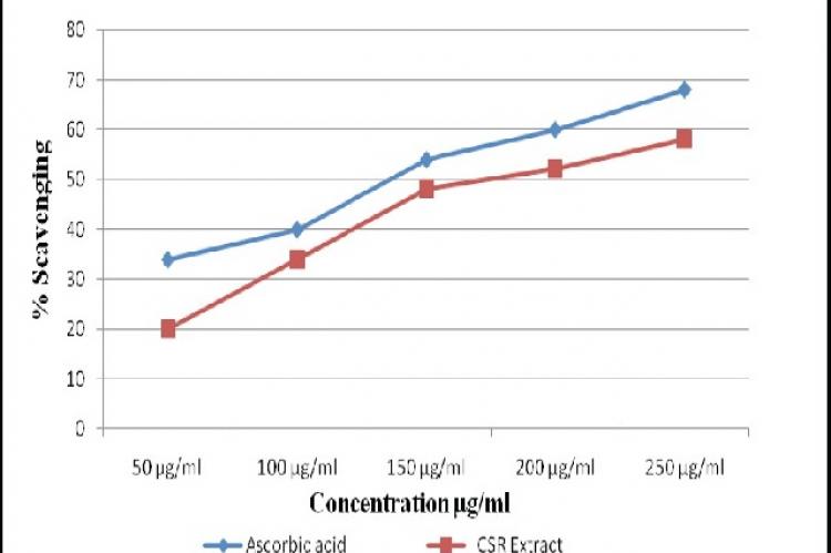 Effect of CSR on DPPH radical scavenging activity.