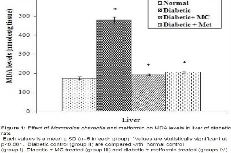 Effect of Momordica charantia and metformin on MDA levels in liver of diabetic rats
