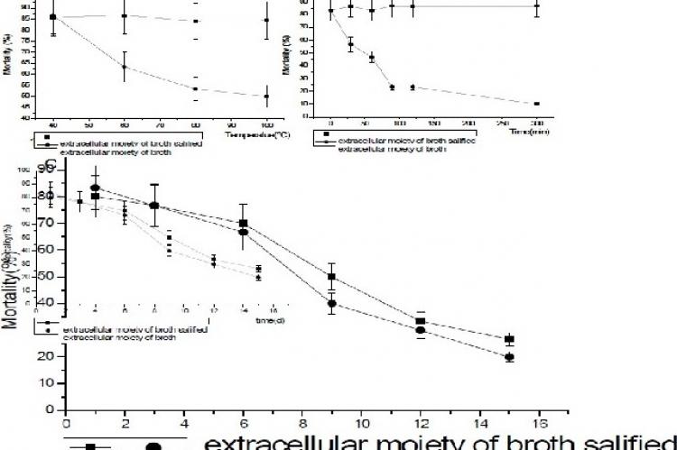 Stability of the extracellular broth against temperature, time and illumination