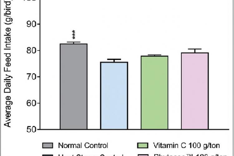 Effect of Phytocee™ on average daily feed intake values is expressed as mean ± standard error of the mean; n = 6 ***P < 0.001 as compared to heat stress control based on one‑way analysis of variance followed by Dunnett’s multiple comparison test using SPSS