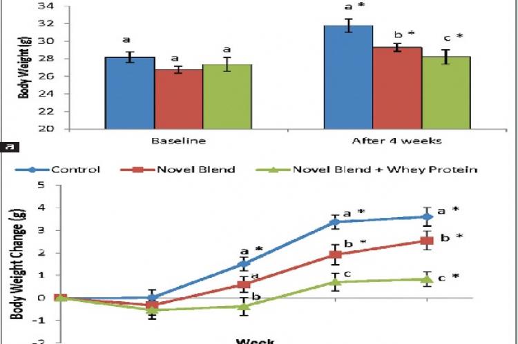 The novel blend alone or in combination with whey protein supplement attenuated body weight gain during high‑fat diet. Data are expressed as mean values ± standard error of the mean (a) body weight at baseline and the last day of the study and (b) body weight change over time. Within‑group comparison: *Indicate values significantly different from baseline (P < 0.05). Between‑group comparison: groups that do not share a common letter are statistically different (P < 0.05)