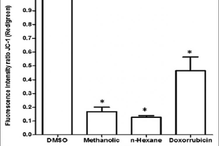 Comparison of percentages of apoptosis induced by methanolic extract and its n‑hexane fraction of three‑independent experiments in HeLa cells, using caffeic acid phenethyl ester and DMSO as negative and positive controls, respectively. *Statistical significance on the comparison with the negative control, P < 0.05