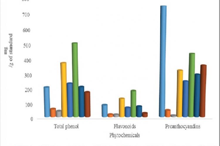 Polyphenolic contents of the Bulbine abyssinica fractions