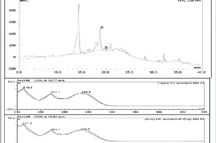 High‑pressure liquid chromatography chromatogram of methanol extract and ultraviolet chromatogram showing the presence of isovitexin fraction and ultraviolet chromatogram of triterpene acetate. E = Peak 4