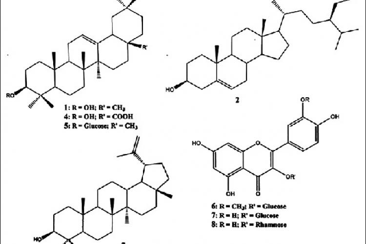 Structures of compounds 1–8