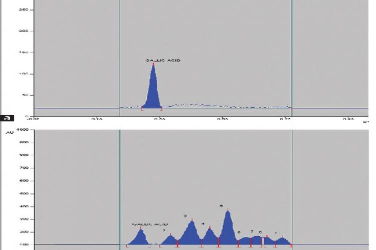 High‑performance thin layer chromatograph densitogram of (a) gallic acid and (b) methanolic extract of Hedyotis corymbosa standardized to gallic acid (peak no. 1) scanned at 278 nm (AT COLUMN WIDTH)