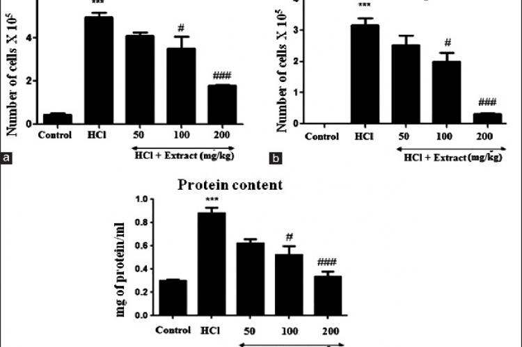 Oral administration of Caesalpinia digyna extract before hydrochloric acid treatment reduced the number of total inflammatory cells as well as neutrophils in bronchoalveolar lavage fluid. Mice treated as explained in materials and methods section were subjected to bronchoalveolar lavage and cells obtained were differentially stained for counting total cells (a) and neutrophils (b). Supernatant of bronchoalveolar lavage was assessed for total protein content (c). Results are depicted as Mean ± standard error