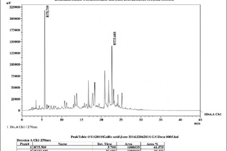 High‑performance liquid chromatography chromatogram of Terminalia bellerica