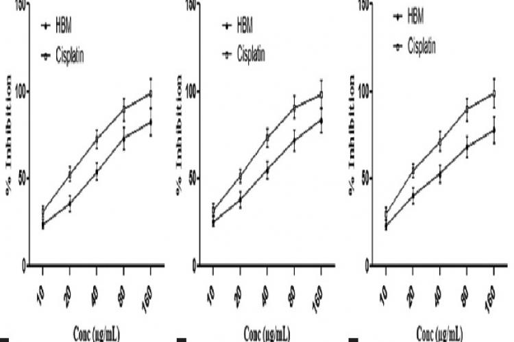 Effect of methanolic extract of Hiptage benghalensison cytotoxicity of (a) human cervical carcinoma, (b) human breast cancer, and (c) human neuroblastoma cancer cell lines; data were mean ± standard error of the mean
