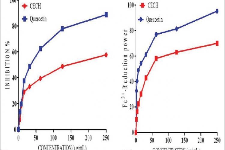 Ferric‑reducing power and hydroxyl radical scavenging assays of various concentrations of CECH (a): OH•‑scavenging capacity and (b): ferric‑reducing antioxidant power. CECH: Crude extract of Combretum hypopilinum; OH•: Hydroxyl radical