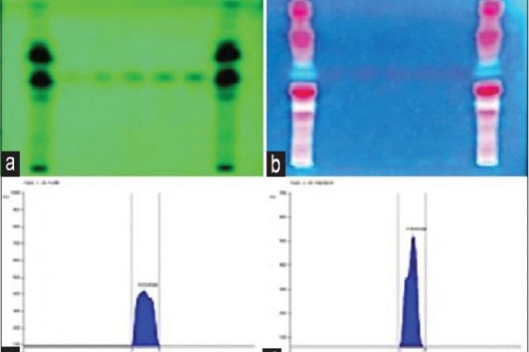 (a‑d) Quantitative estimation of piperine in extract of Piper sylvaticum roots using high‑performance thin‑layer chromatography