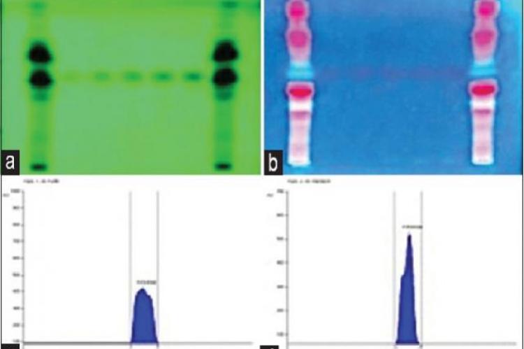 (a‑d) Quantitative estimation of piperine in extract of Piper sylvaticum roots using high‑performance thin‑layer chromatography