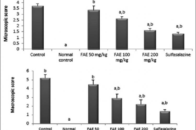 Extent of colonic damage according to macroscopic and microscopic scores in acetic acid‑treated rats. Values are mean ± standard error of the mean. Ferulago angulata (Schltdl.) Boiss. hydroalcoholic extract‑50: Ferulago angulata at dose of 50 mg/kg/day, Ferulago angulata (Schltdl.) Boiss. hydroalcoholic extract‑100: Ferulago angulata at dose of 100 mg/kg/day and Ferulago angulata (Schltdl.) Boiss. hydroalcoholic extract‑200: Ferulago angulata at dose of 200 mg/kg/day. (a) Significantly different from contro