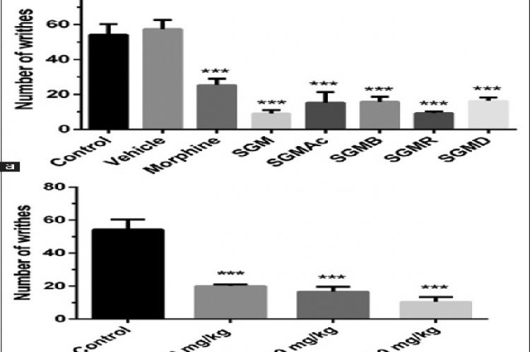 The effects of orally administered methanolic extract from the Simira grazielae and its partitions (a), and different doses of the ethyl acetate partition (b) on acetic acid‑induced writhing test. In a, the mice received water, vehicle, morphine (5.01 mg/kg), methanolic extract, and its partitions (SGM, SGMAc, SGMB, SGMD, and SGMR‑100 mg/kg). In b, the mice received water and SGMAc (10, 50, and 100 mg/kg). The results are showed as the mean ± standard error of the mean (n = 8). One‑way analysis of variance 