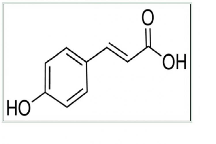 Molecular structure of p‑coumaric acid (164.16 g/mol)