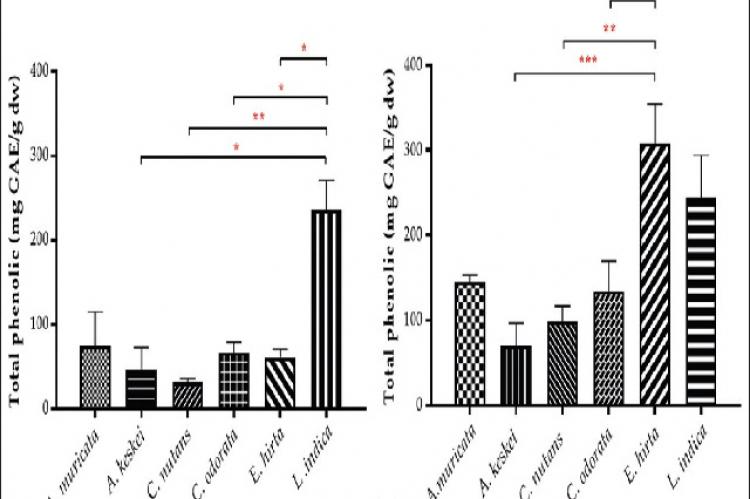 The total phenolic content of (a) aqueous and (b) methanolic extracts of medicinal plants (mg GAE/g dw). Data are presented as the mean (standard error of the mean) of triplicates in three independent experiments; GAE: Gallic acid equivalent; dw: Dry weight; *P < 0.05, **P < 0.01, and ***P < 0.001. A. keiskei: Angelica keiskei; A. muricata: Annona muricata; C. odorata: Chromolaena odorata; C. nutans: Clinacanthus nutans; E. hirta: Euphorbia hirta; L. indica: Leea indica