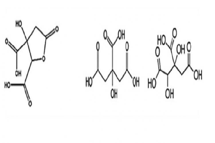 Structure of organic acids