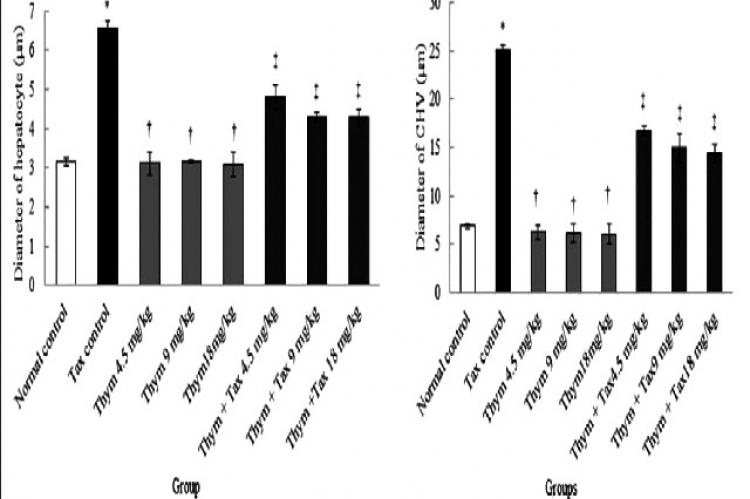 Antioxidative Properties of Thymus vulgaris on Liver Rats Induced by Paclitaxel