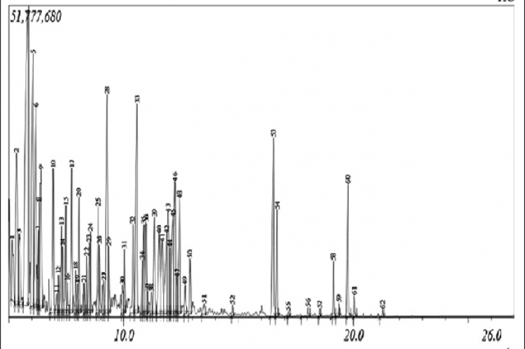 Representative total ion chromatogram of Xylopia aethiopica essential oil