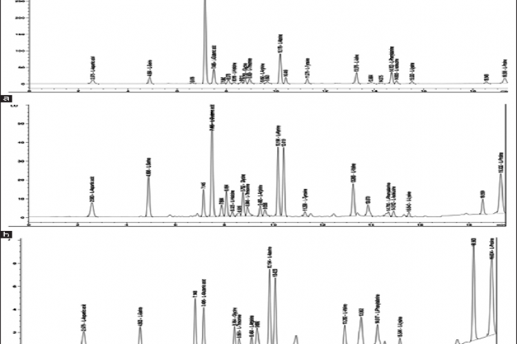 Chromatograms of free amino acids of Zea mays raw materials: (а) silk; (b) leaves; (c) roots