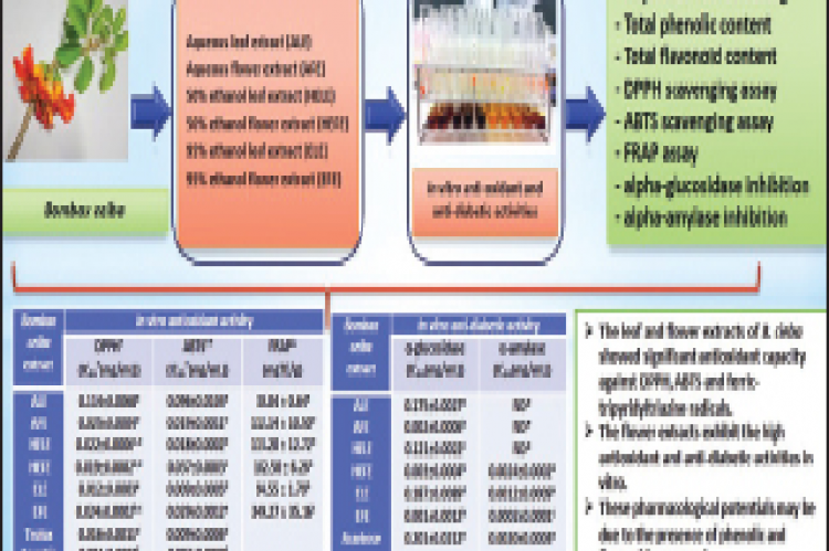 Graphical Abstract