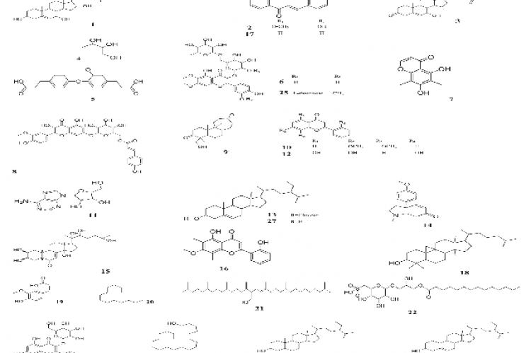 Dereplicated metabolites from LC-HR-ESIMS analysis of Trianthema portulacastrum and Aizoon canariens different fractions