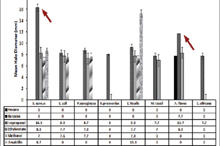 Antibacterial activity of solvent extracts of Zingiber nimmonii rhizome determined by agar well diffusion method