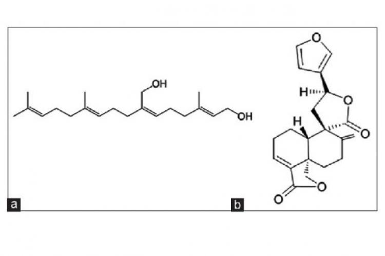 Preparation of Diterpenes‑Enriched Extract from Croton stellatopilosus Ohba Leaves using Enzyme‑ and Ultrasonic‑Assisted Extraction