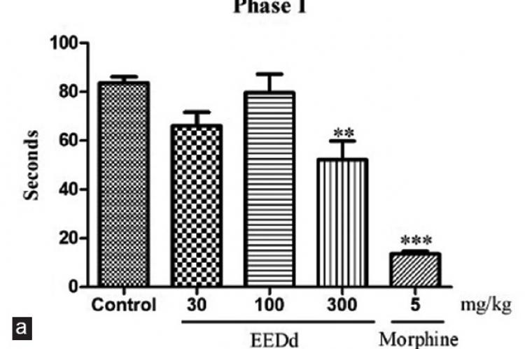 Antiarthritic and Antinociceptive Potential of Ethanolic Extract from Leaves of Doliocarpus dentatus (Aubl.) Standl. in Mouse Model