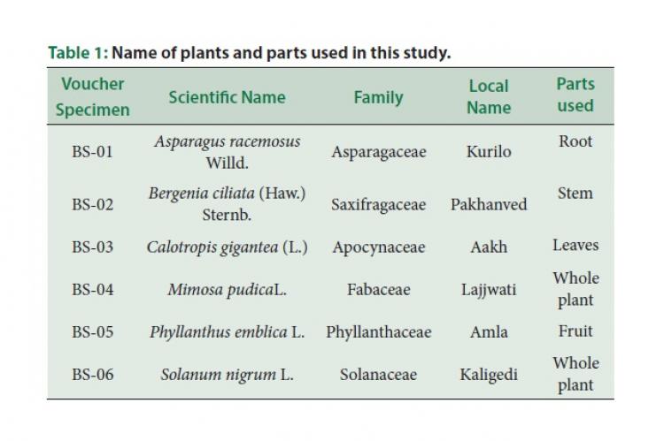 Name of plants and parts used in this study