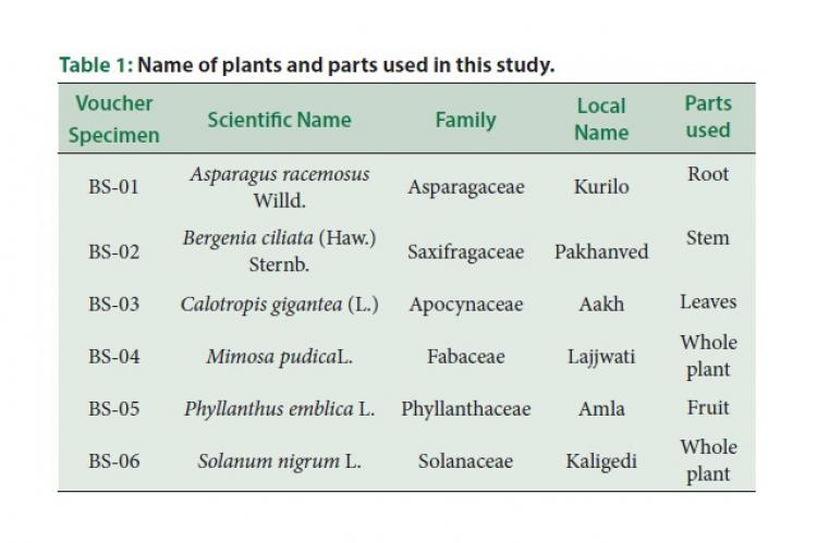 Name of plants and parts used in this study