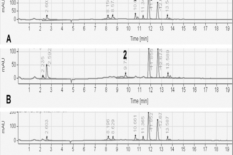 HPLC-DAD chromatograms of phenolic compounds present in Moringa oleifera extracts during different seasons