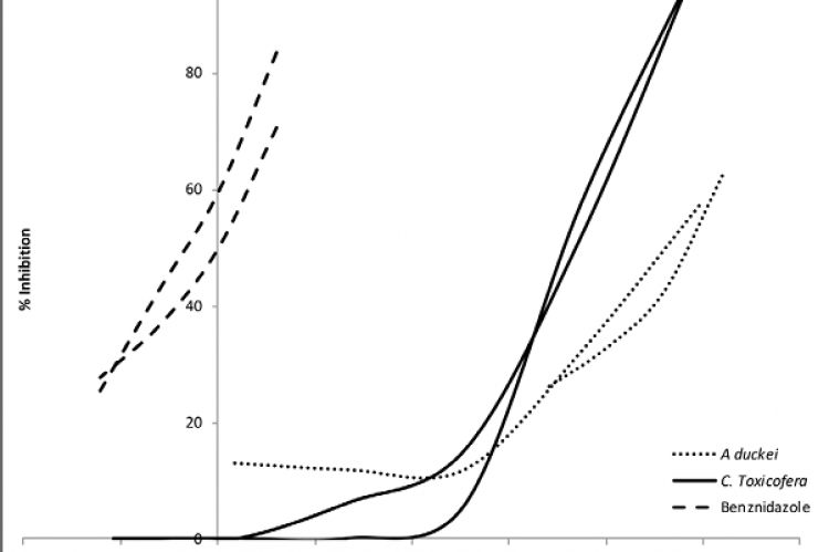 Concentration-dependent anti-trypanosomal activity of Benznidazole (dashed line) and water extracts of Ambelania duckei (dotted line) and Curarea toxicofera (plain line).